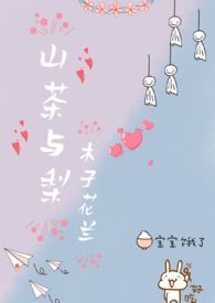 酸菜鱼料哪个牌子最好
