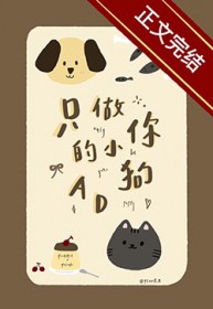 只做你的小狗bgm